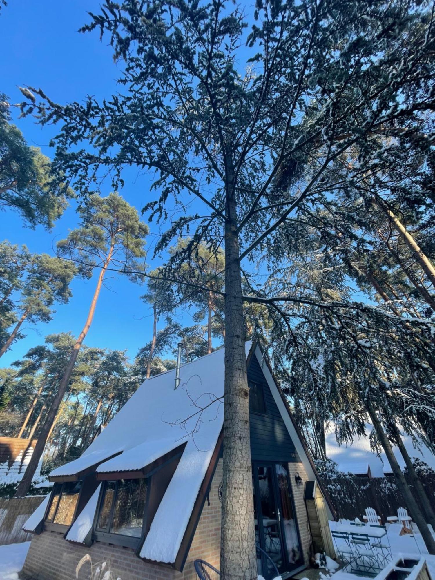 Boshuisje Pinus Sonnevijver Residences Lanaken Luaran gambar
